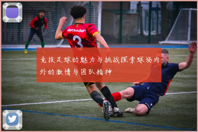 竞技足球的魅力与挑战探索球场内外的激情与团队精神
