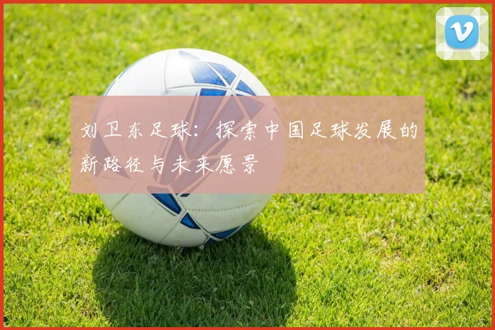 刘卫东足球：探索中国足球发展的新路径与未来愿景