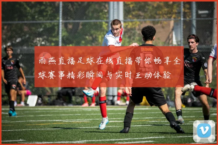 雨燕直播足球在线直播带你畅享全球赛事精彩瞬间与实时互动体验