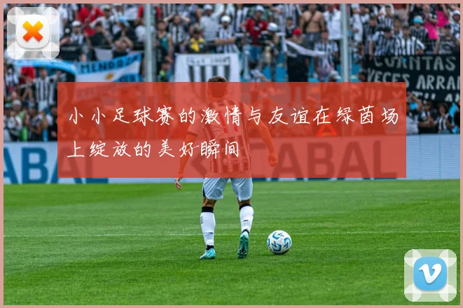 小小足球赛的激情与友谊在绿茵场上绽放的美好瞬间