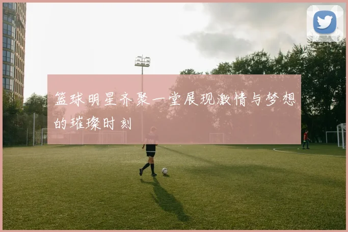 篮球明星齐聚一堂展现激情与梦想的璀璨时刻