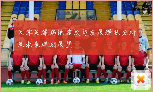 天津足球场地建设与发展现状分析及未来规划展望