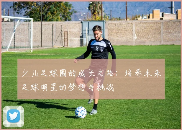 少儿足球圈的成长之路：培养未来足球明星的梦想与挑战